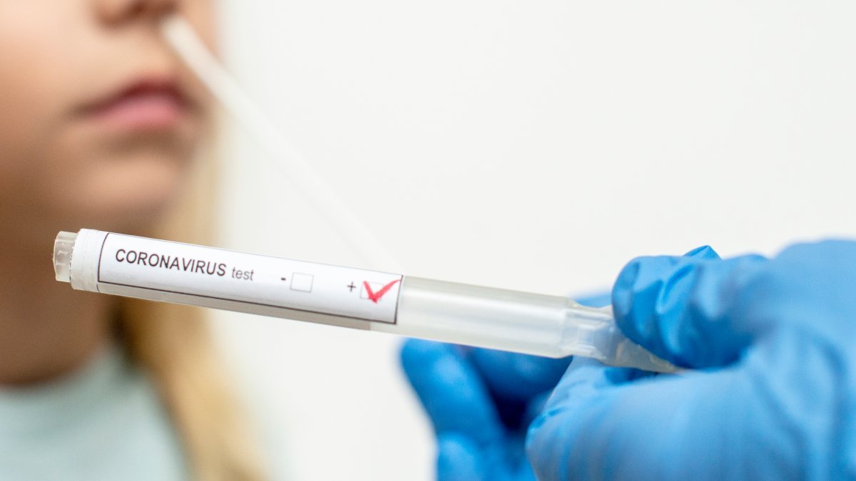 'Don't Let Your Guard Down': Falling COVID-19 Cases Doesn't Signal End of Pandemic – NBC 7 San Diego - Vimarsana News