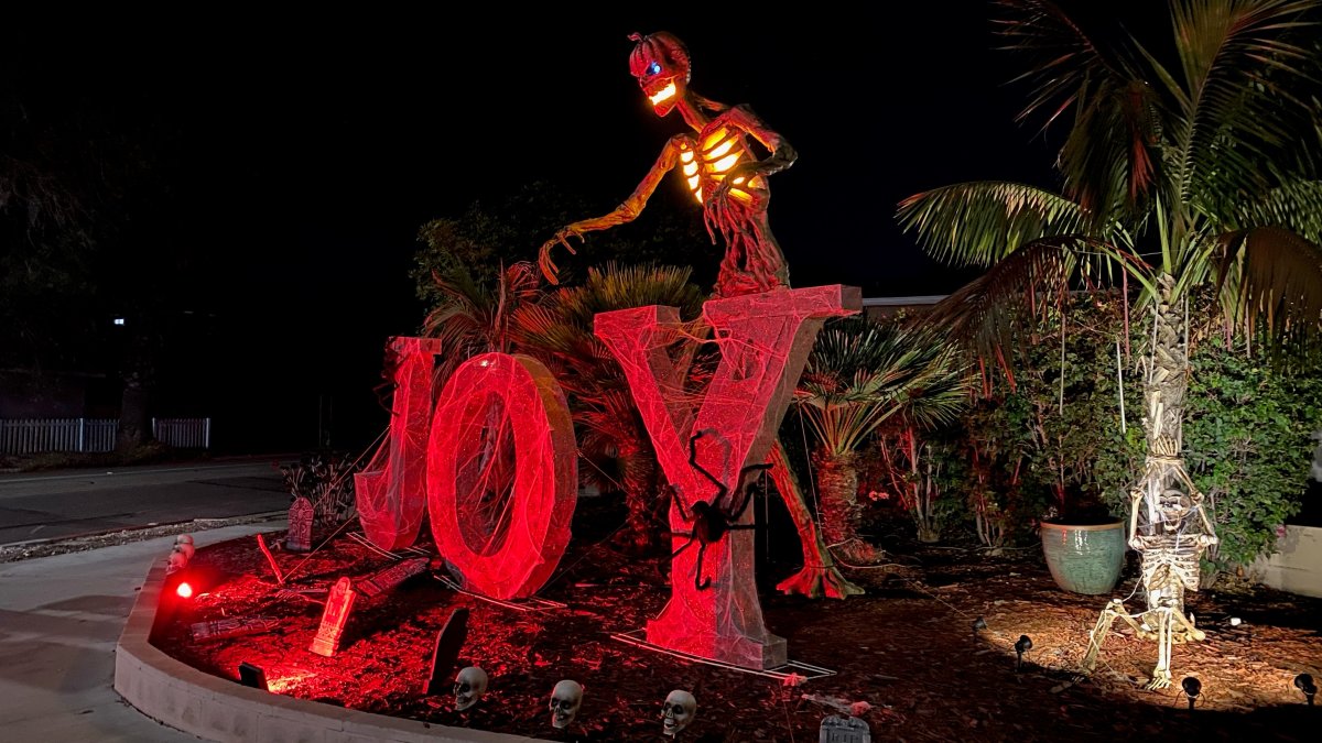 VIDEO: Woman goes viral for 12-foot disco skeleton