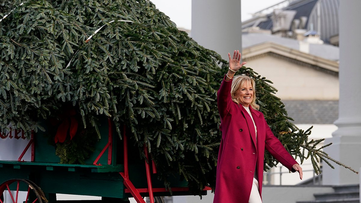 Bidens Open Holidays With Christmas Tree and 'Friendsgiving' – NBC 7 San Diego - Vimarsana News