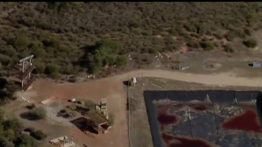 Zipline Employee Dies After Falling From Platform