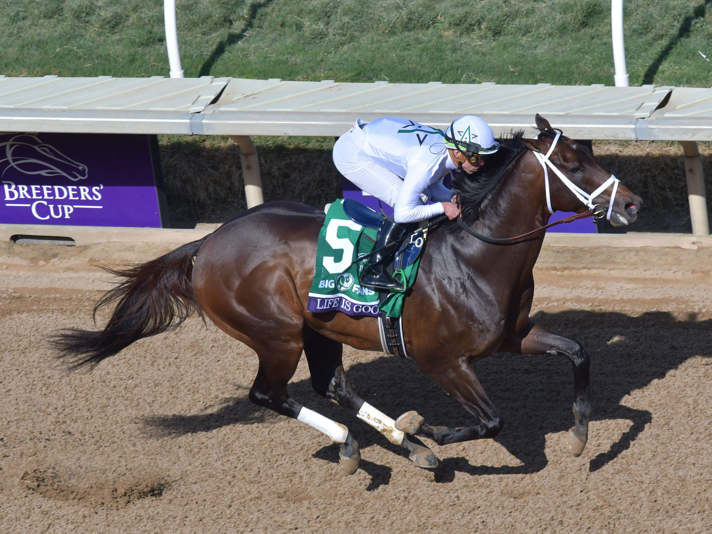 Photos: 2021 Breeders' Cup Returns to Del Mar Race Track – NBC 7