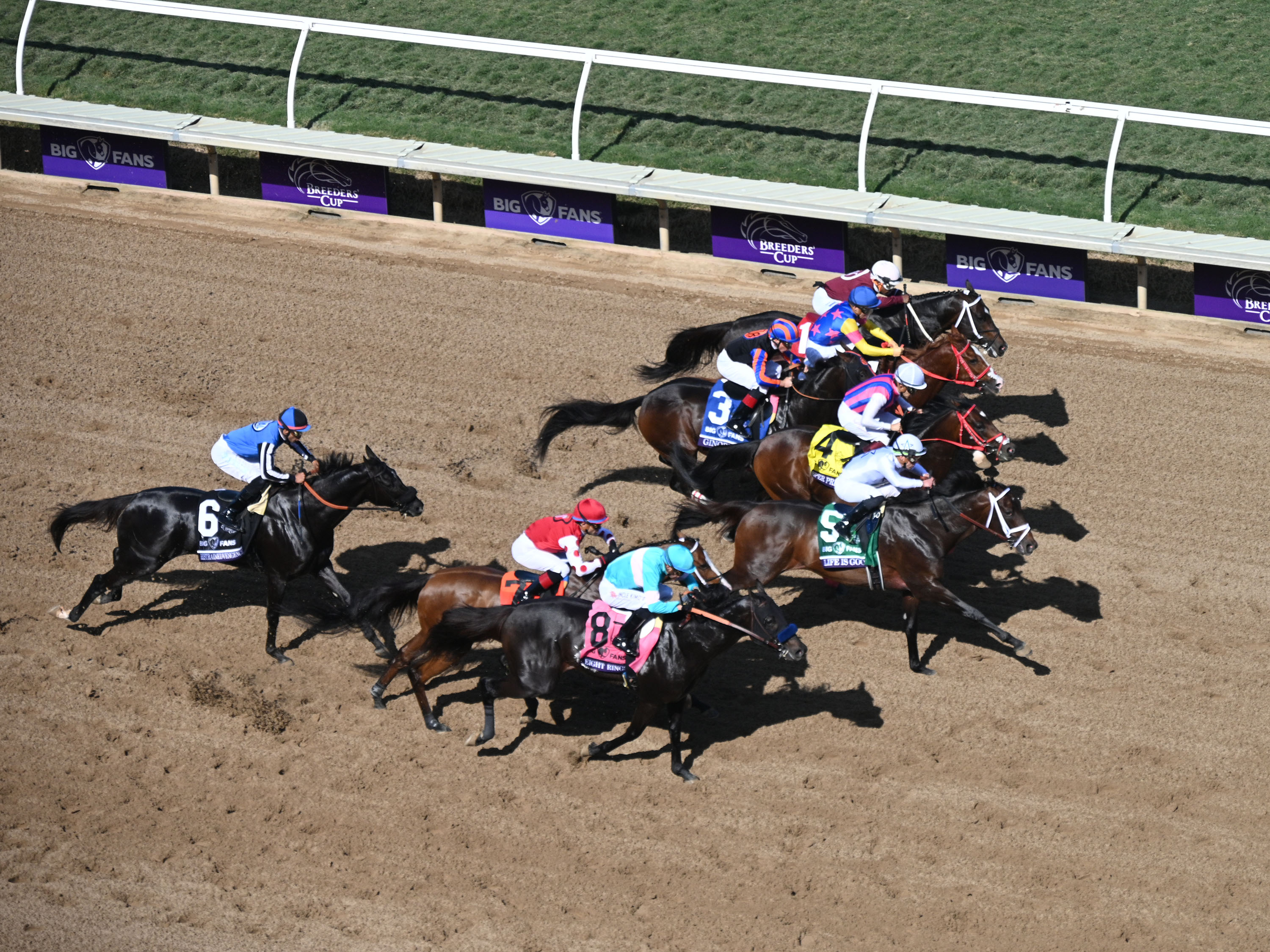 Photos 21 Breeders Cup Returns To Del Mar Race Track Nbc 7 San Diego Photos 21 Breeders Cup Returns To Del Mar Race Track Nbc 7 San Diego