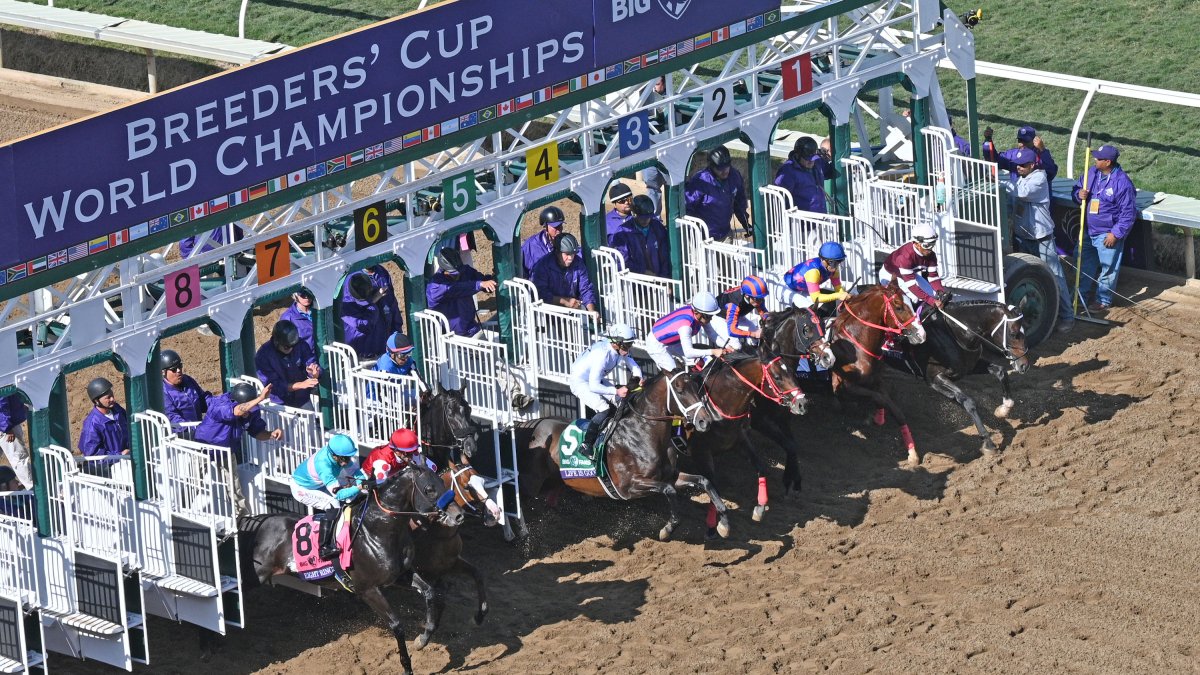 Breeder’s Cup Returning to Del Mar in November 2024 NBC 7 San Diego