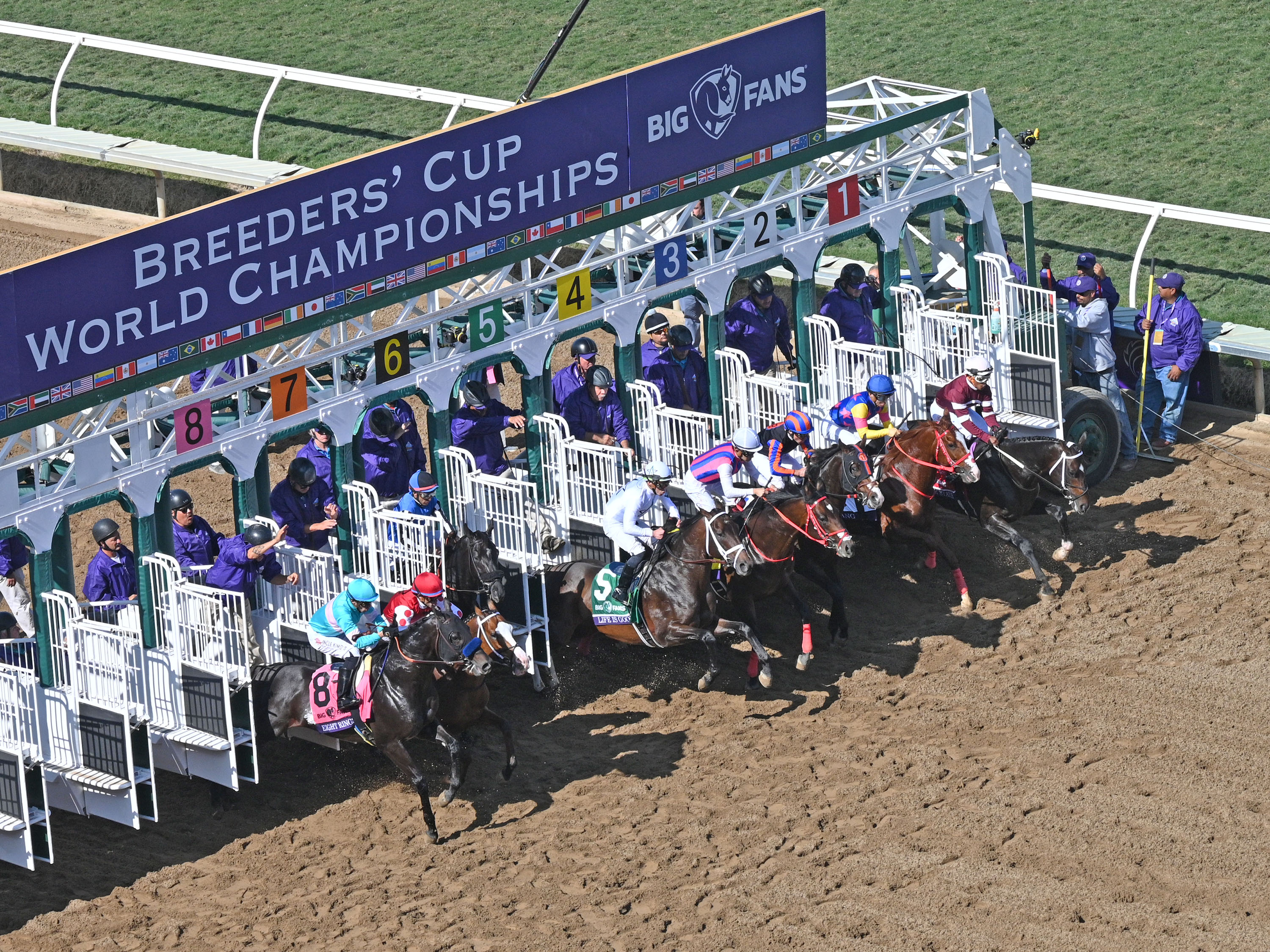 Photos 21 Breeders Cup Returns To Del Mar Race Track Nbc 7 San Diego Photos 21 Breeders Cup Returns To Del Mar Race Track Nbc 7 San Diego