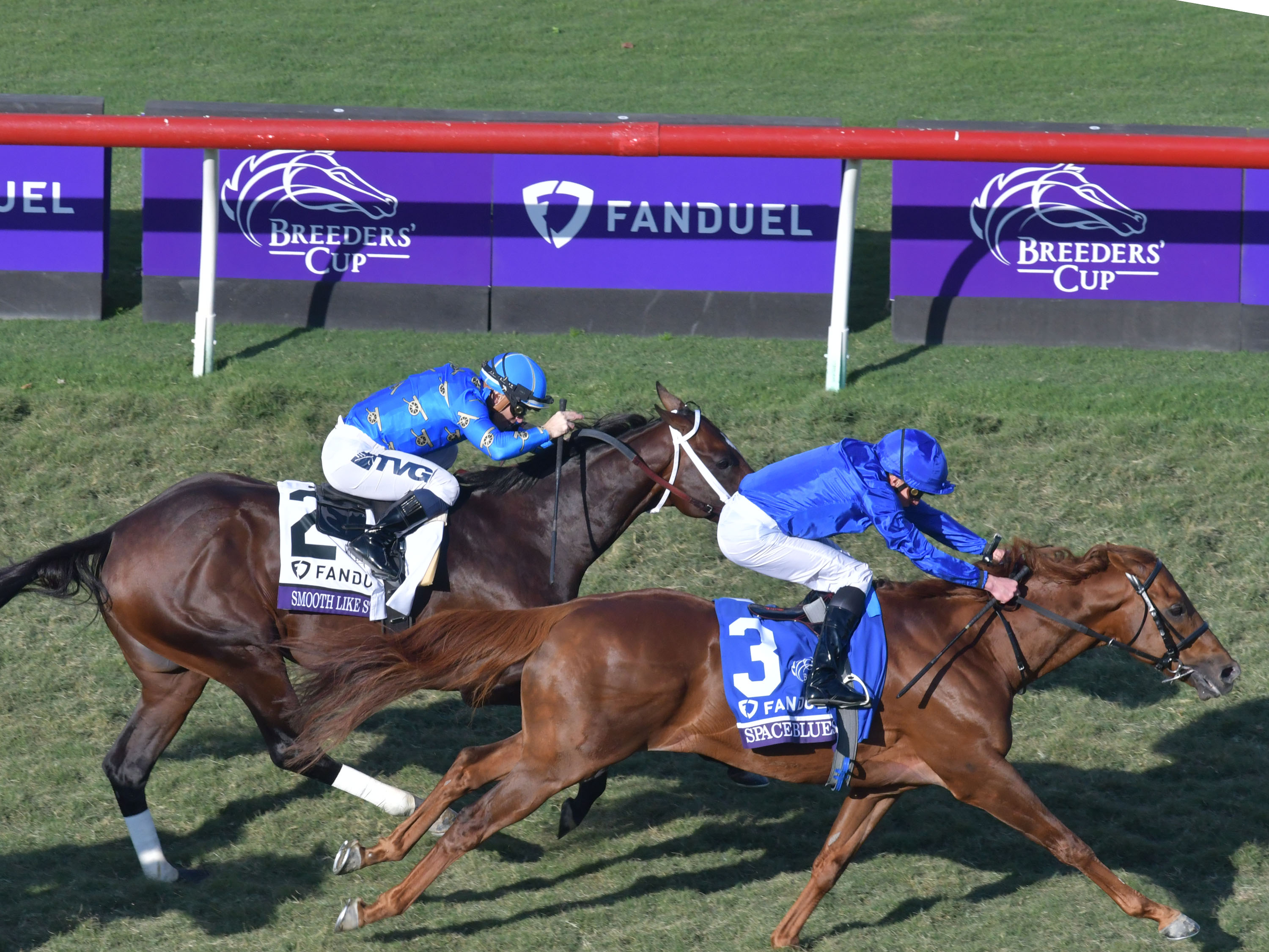 Photos: 2021 Breeders' Cup Returns to Del Mar Race Track – NBC 7