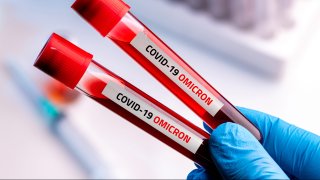 Doctor with blood sample of Covid-19 Omicron B.1.1.529 Variant and general data of covid-19 Coronavirus Mutations.