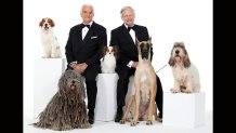 Pictured: (l-r) Nederlandse Kooikerhondje, Bergamasco Shepherd, John O'Hurley, Papillon, David Frei, Great Dane, Grand Basset Griffon Vendéen