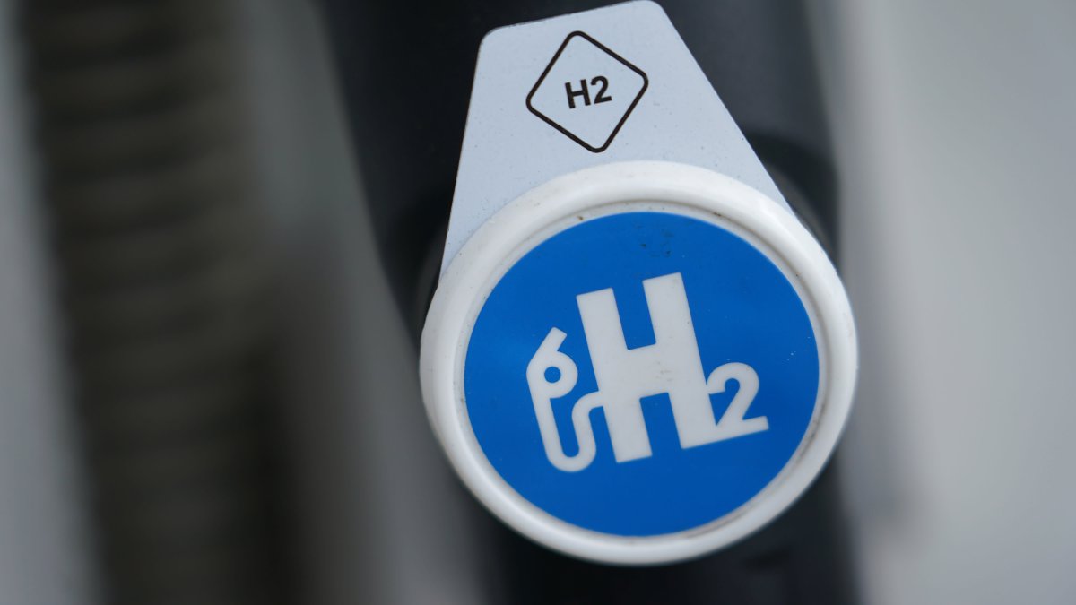 'In the End, All Hydrogen Needs to Be Green': CEO of German Energy Giant RWE – NBC 7 San Diego - Vimarsana News