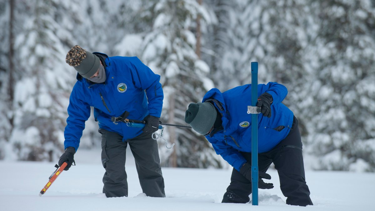 Water Content of California Snowpack Far Above Normal Levels - Vimarsana News