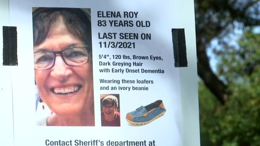 Elena Roy Missing Flyer