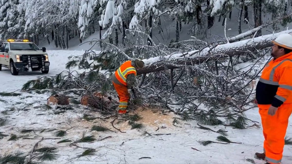 Snowstorms Shut Down Lake Tahoe-Area Highways, Close Ski Resorts – NBC 7 San Diego - Vimarsana News