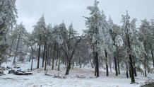 Light snow fall rests on the ground of Mt Laguna, Dec. 29, 2021.