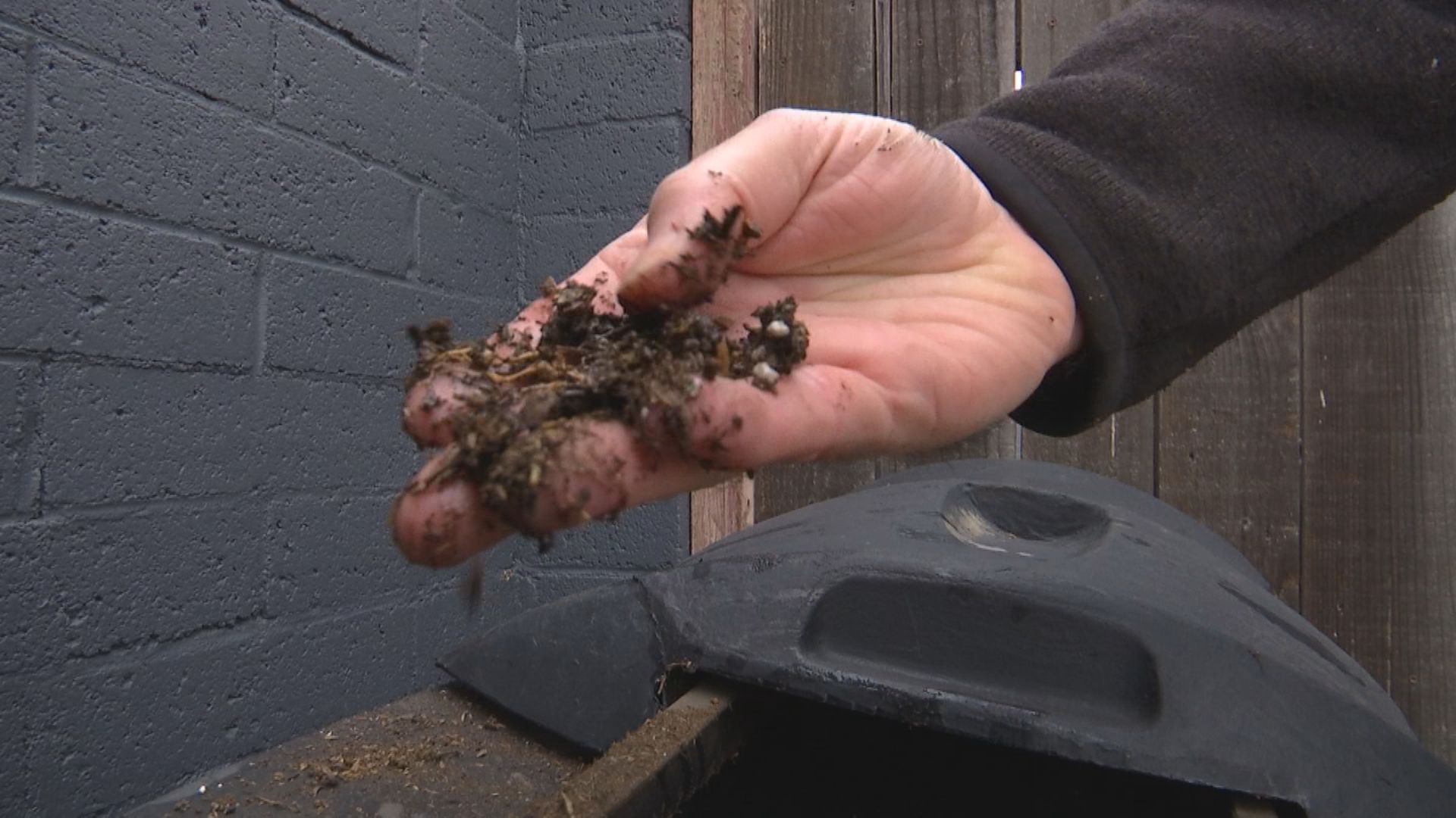A man holds compost