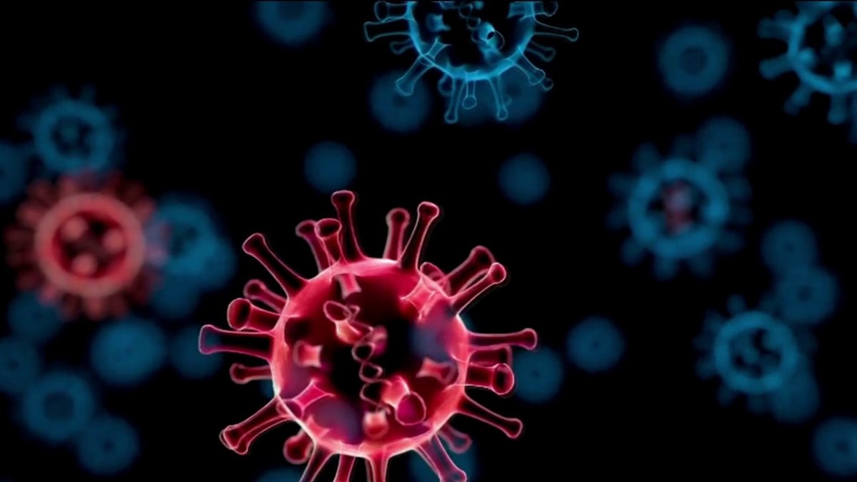 Stanford Researchers Looking at Possible Link Between Omicron COVID Variant and HIV - Vimarsana News