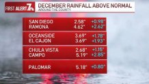 rainfall totals for December