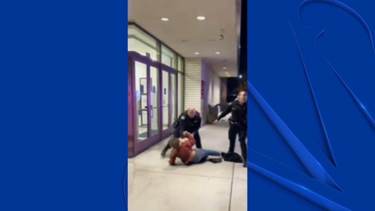 Woman Interferes With Oakridge Mall Robbery Arrest, Claims Police Went Too Far - Vimarsana News