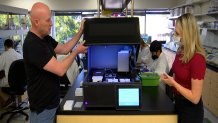 CEO of Codex DNA, Todd Nelson, gives NBC 7's Madison Weil a tour of the laboratory, Jan. 24, 2022.