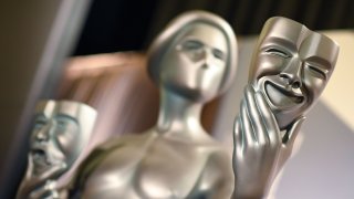 Screen Actors Guild Award