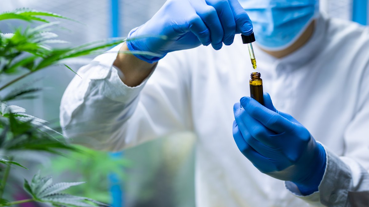 COVID-19 & Cannabis: Study Finds Hemp Compounds Prevent Coronavirus Infection – NBC 7 San Diego - Vimarsana News