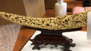 An ivory artifact seized from a Carmel Valley man after he was found selling the illegal items on the black market.