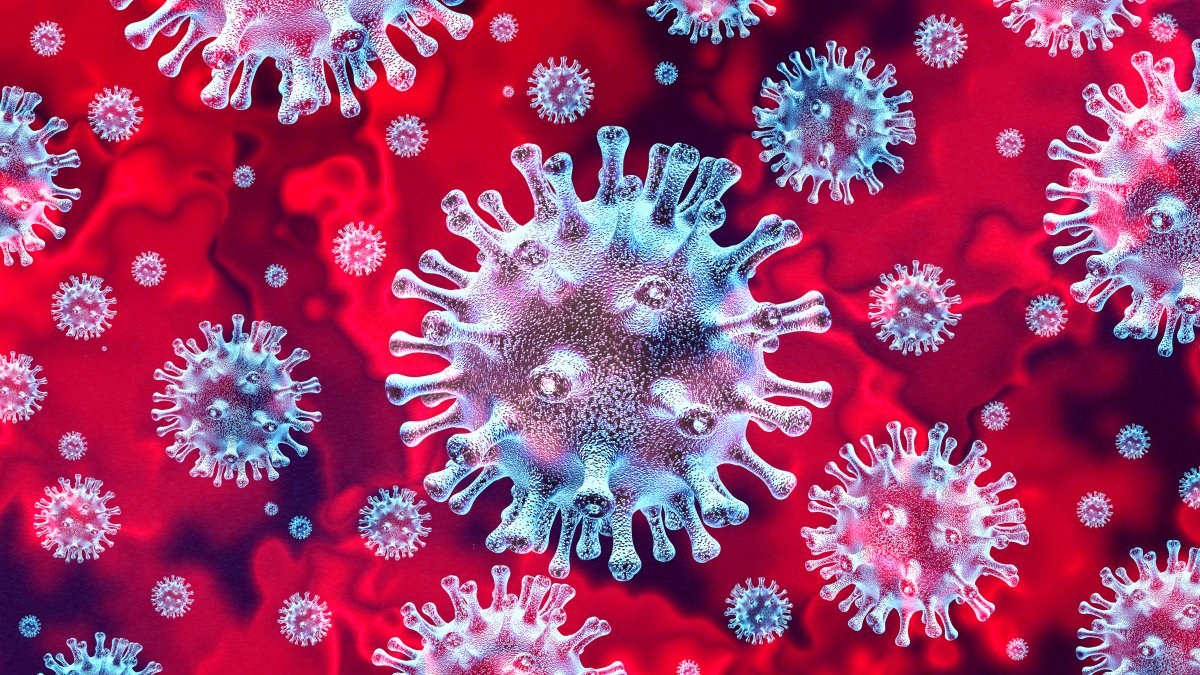 What Will the End of the COVID-19 Pandemic Be Like? - Vimarsana News