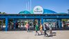 Teachers can get free admission to SeaWorld San Diego all year. Here's how