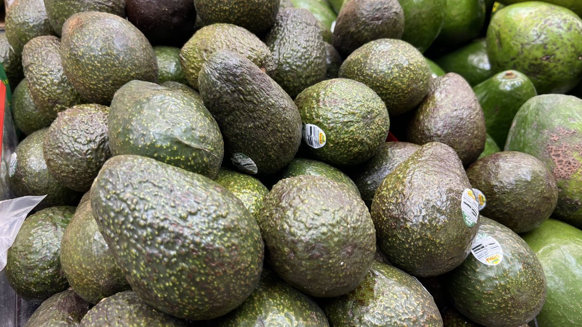 San Diego Restaurants Pitted by Suspension of Mexican Avocado Imports - Vimarsana News