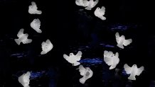 Doves glow during the opening ceremony of the 2022 Winter Olympics, Friday, Feb. 4, 2022, in Beijing.