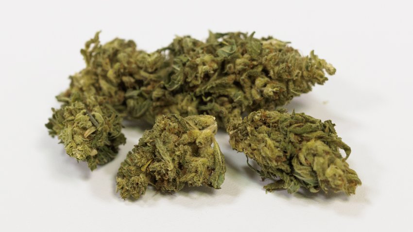 The NFL is asking nUC San Diego to study cannabis as a pain reliever for elite athletes. Photo: Philipp von Ditfurth/dpa (Photo by Philipp von Ditfurth/picture alliance via Getty Images)