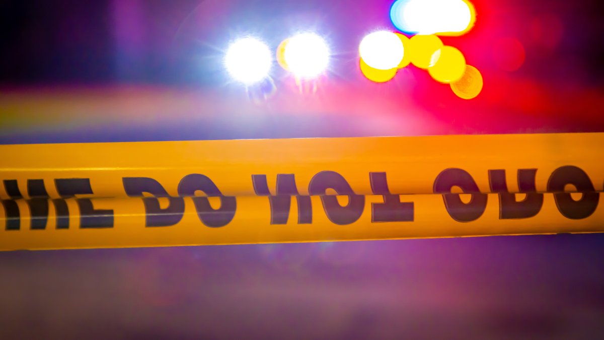 Skateboarder Suffers Fractured Skull in North Park Collision - Vimarsana News
