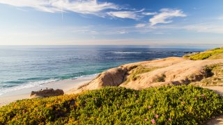 Sunny La Jolla cove beach in San Diego, California