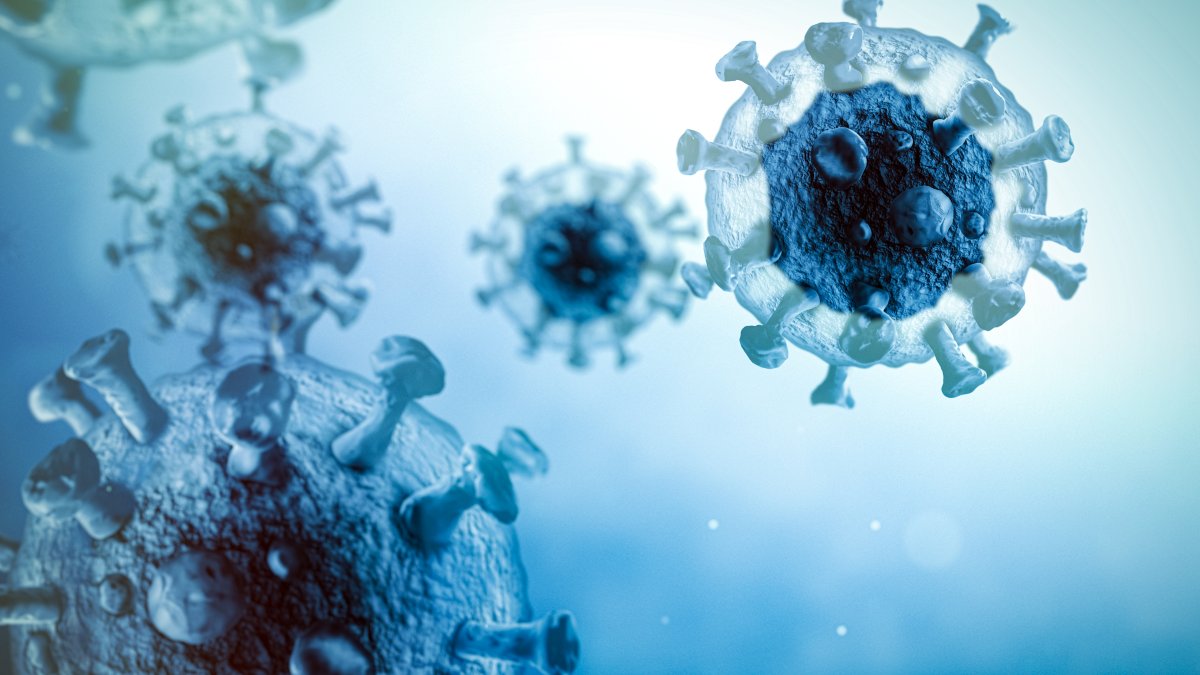 Advice From Doctors on Navigating the COVID-19 Pandemic – NBC 7 San Diego - Vimarsana News