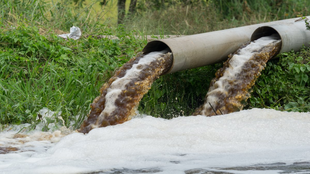Few companies using lots of water meet sustainability targets – NBC 7 San Diego - Vimarsana News