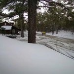 A fresh coating of snow rests in Mount Laguna on Wednesday, Feb. 16, 2022.
