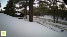 A fresh coating of snow rests in Mount Laguna on Wednesday, Feb. 16, 2022.