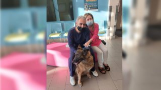 Candy the German shepherd reunites with her family at the San Diego Humane Society after she was missing for more than a year.