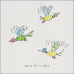 shows a series of colorful hummingbirds with pointy noses