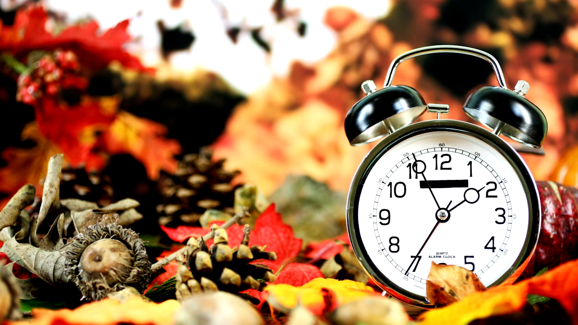 End of daylight saving time 2023: Autumn dates San Diegans should know –  NBC 7 San Diego