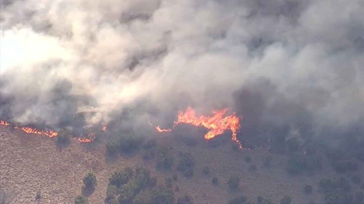 What Red Flag Warnings Mean in California – NBC 7 San Diego - Vimarsana News