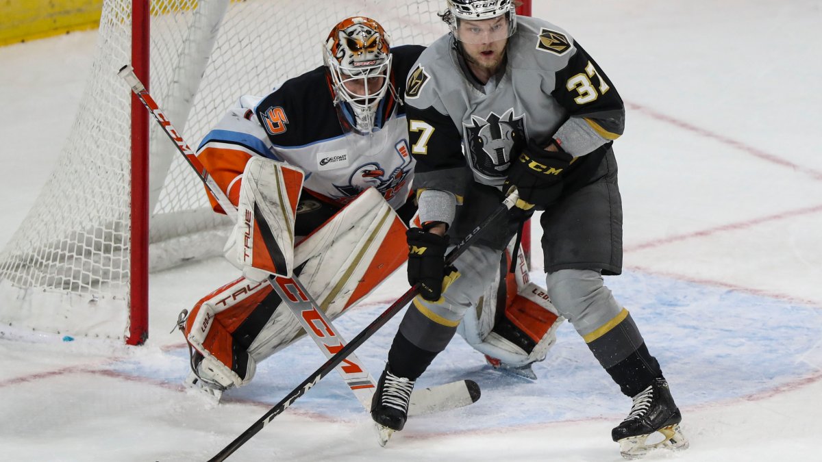 San Diego Gulls Weekly Recap: Loving The Upside Down – Field Pass Hockey