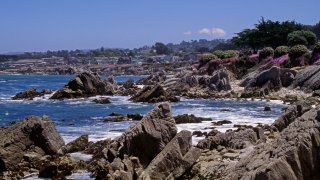 Pacific Grove, California.