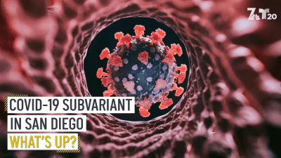 COVID-19 Subvariant in San Diego | What's Up?