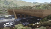A rendering shows the wildlife crossing over the 101 Freeway near Los Angeles.