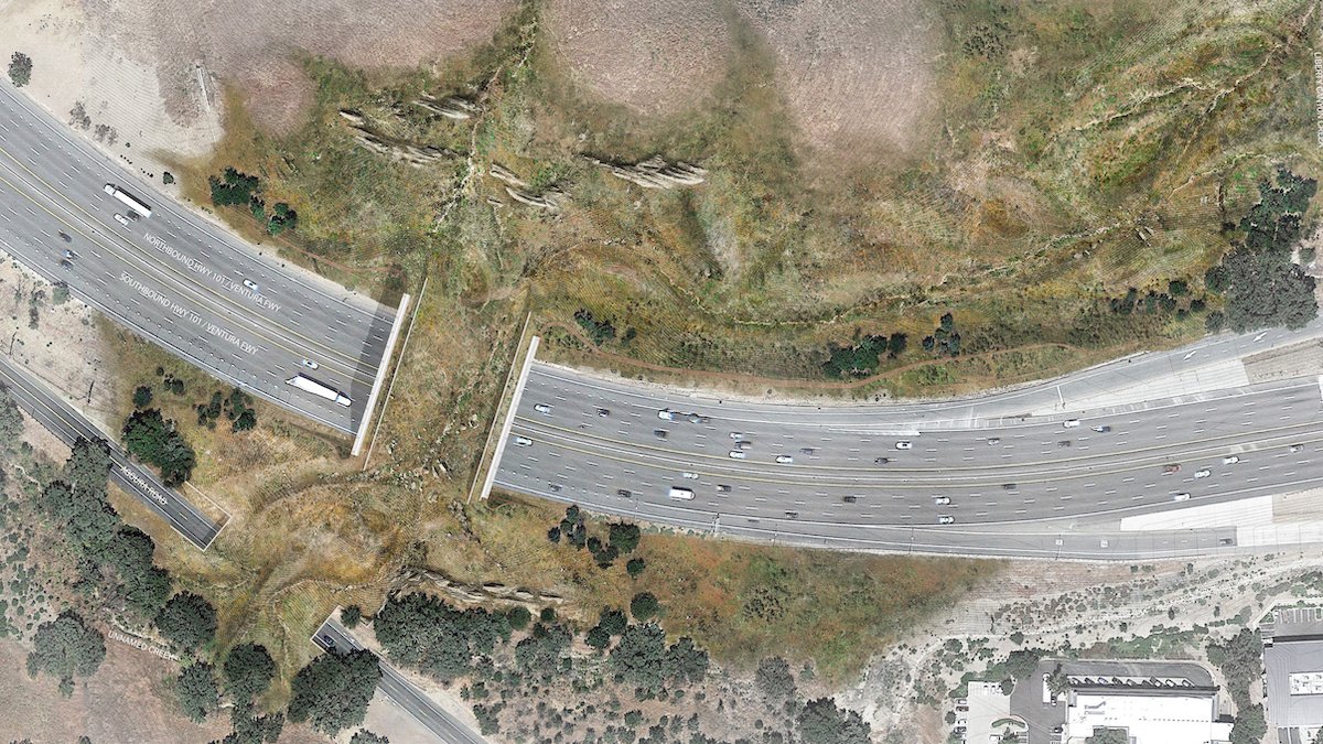 Earth Day Marks Start of SoCal Wildlife Crossing Construction – NBC 7 San Diego - Vimarsana News