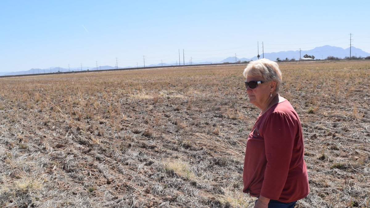 Empty Canals, Dead Cotton Fields: Arizona Farmers Are Getting Slammed by Water Cuts in the West - Vimarsana News