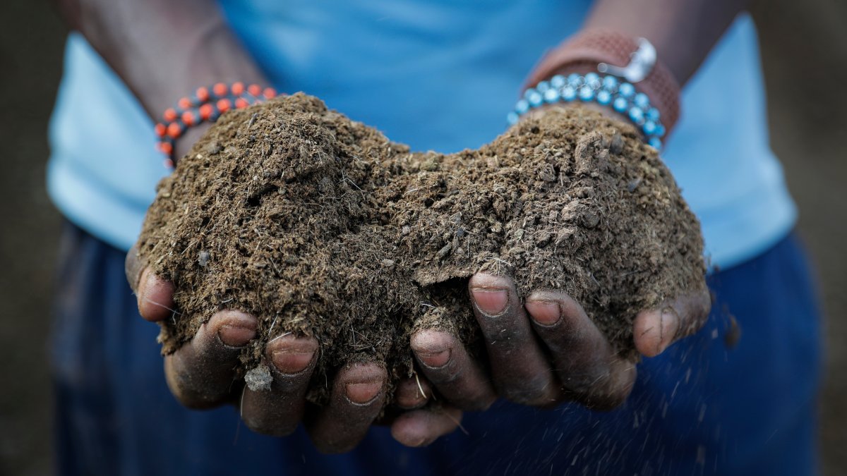 Russian War Worsens Fertilizer Crunch, Risking Food Supplies – NBC 7 San Diego - Vimarsana News