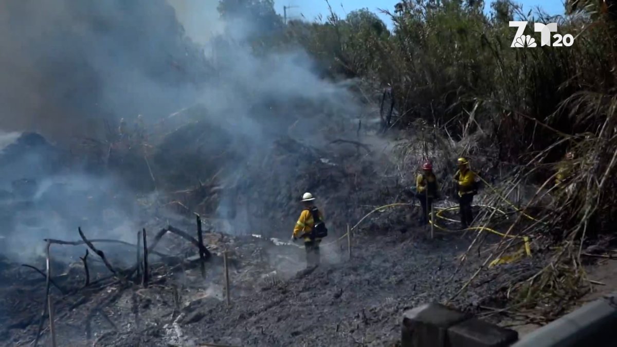 Brush Fire Burns Near Freeway in National City – NBC 7 San Diego