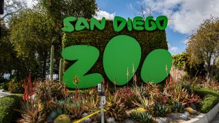 The entrance to the San Diego Zoo