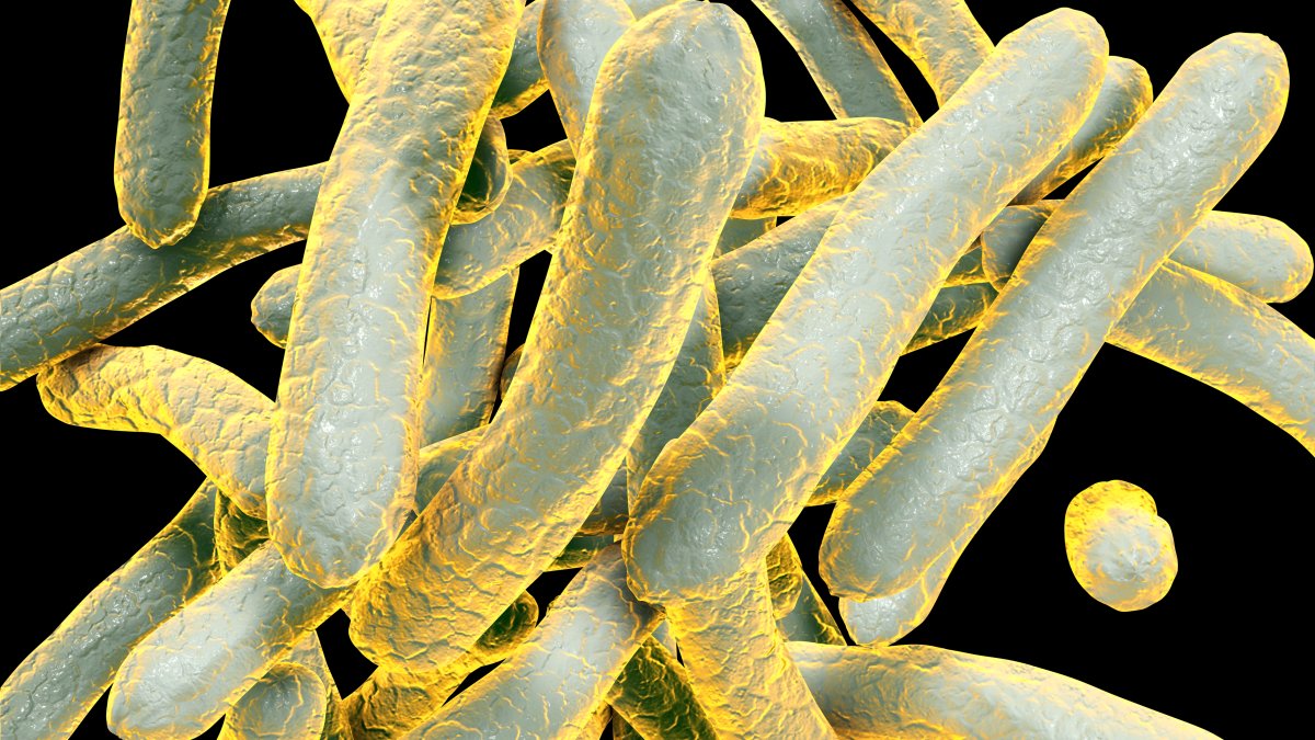 San Diego County warns of potential Tuberculosis exposure at Father Joe's – NBC 7 San Diego - Vimarsana News