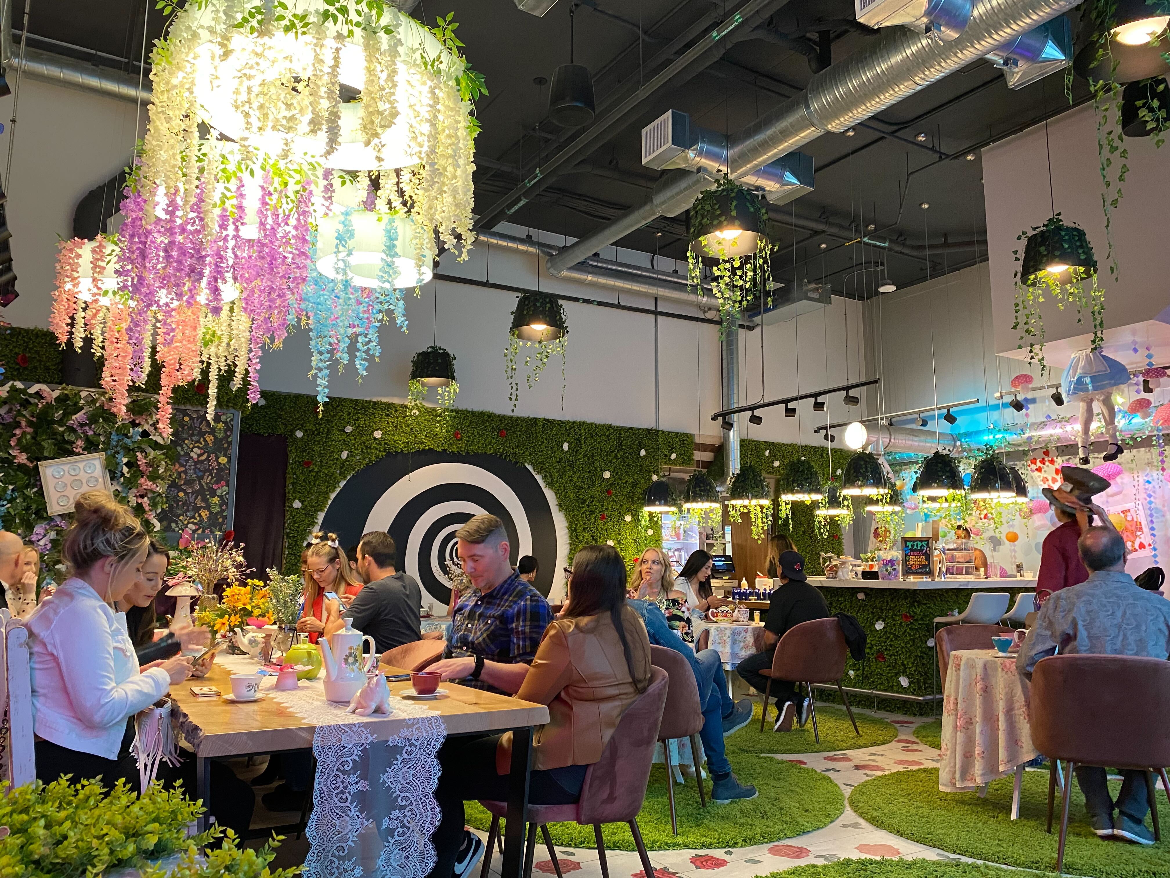 First Look at San Diego’s Alice in Wonderland PopUp NBC 7 San Diego